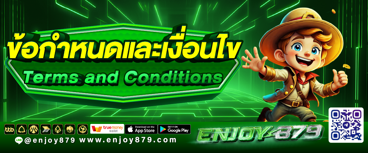 ข้อกำหนดและเงื่อนไข Terms and Conditions